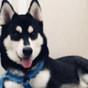 Meet your Posher, Dallas